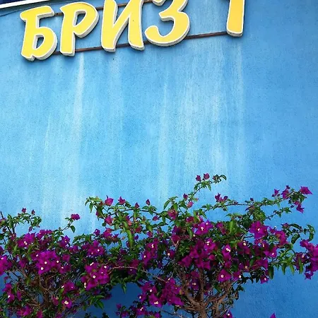 бриз 1