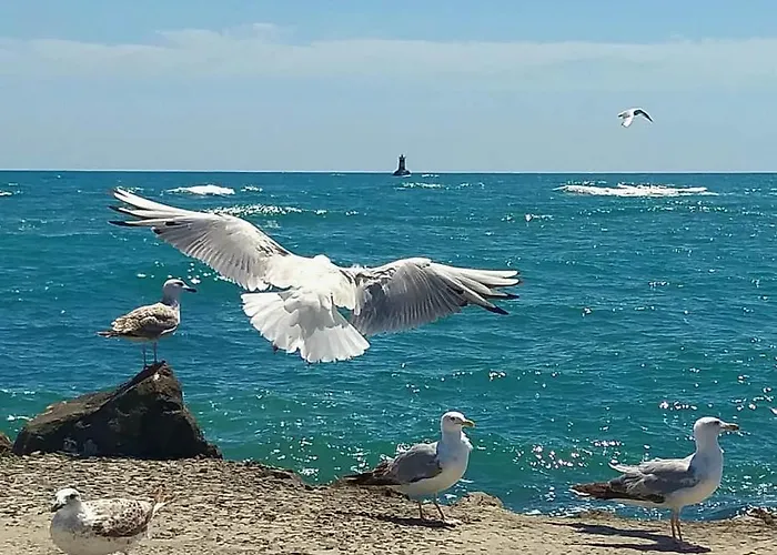 бриз 1 Апартаменты